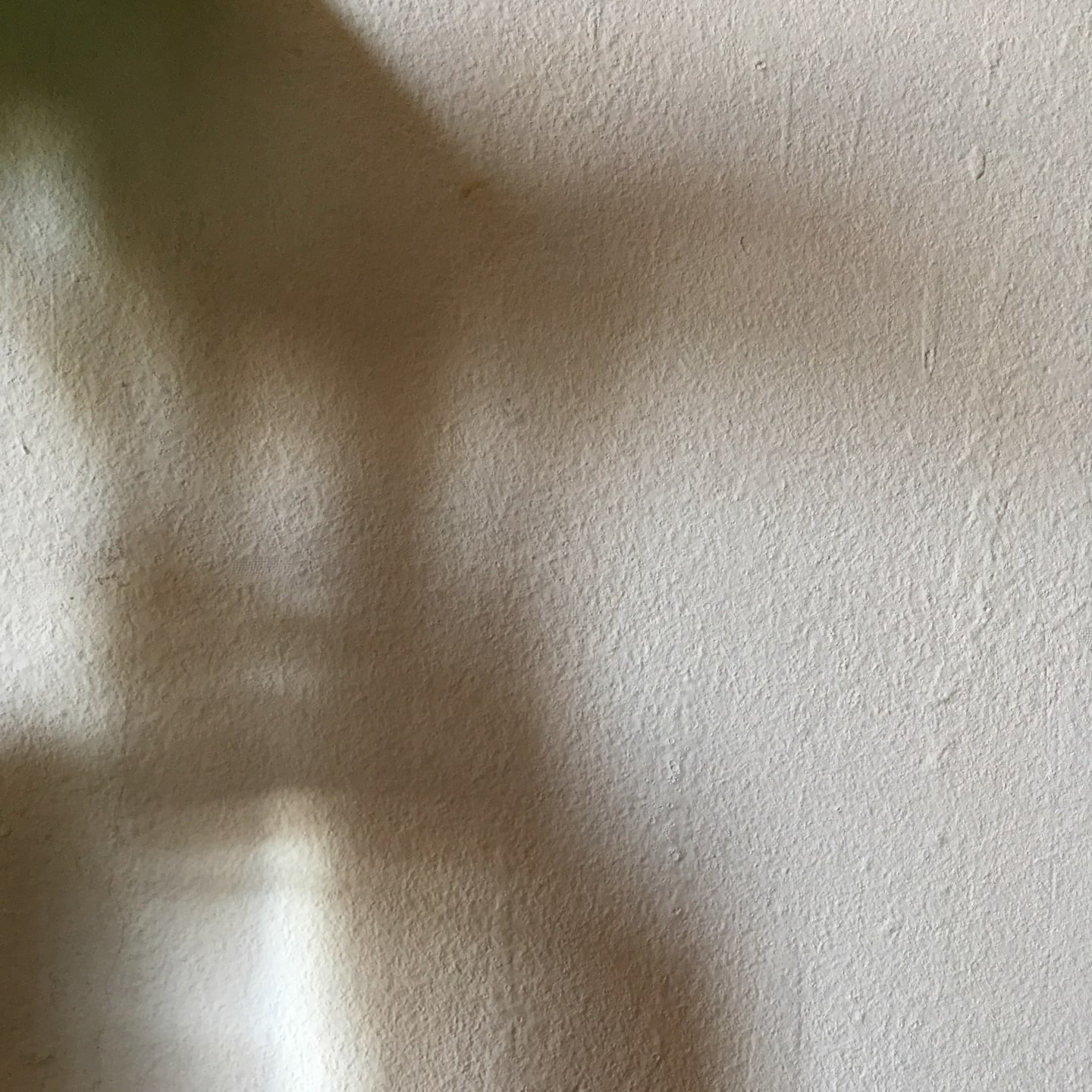 粗糙的黄白色墙面上玻璃瓶和绿叶的影子。